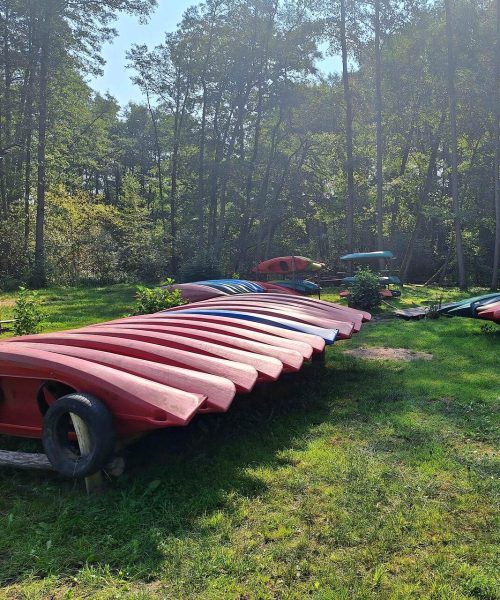 Przygotowane kajaki tuż przy rzece